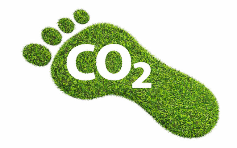 uhlikova stopa produktu (2)